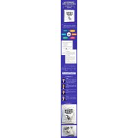 技术经济演进模式 迈向智能经济之路