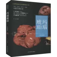 玛瑙琥珀 修订典藏版