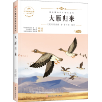 大雁归来