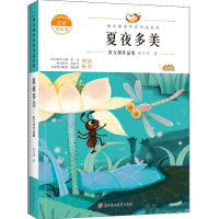 夏夜多美