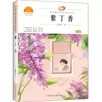 紫丁香