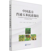 中国北方普通玉米抗逆栽培