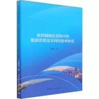 新型城镇化进程中的能源消费及其利用效率研究