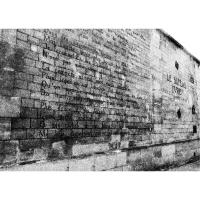 恋恋巴黎:光之城的浪漫地形图