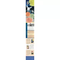 野蔷薇成长系列-跑呀跑呀跑呀跑