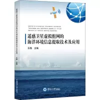 遥感卫星虚拟组网的海洋环境信息提取技术及应用