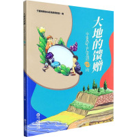 大地的馈赠——宁夏矿产资源60问