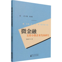 微金融支持小微企业发展研究
