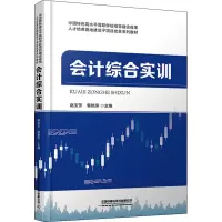 会计综合实训