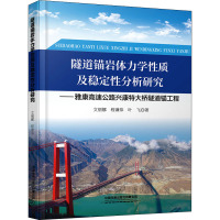 隧道锚岩体力学性质及稳定性分析研究