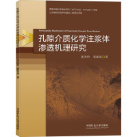 孔隙介质化学注浆体渗透机理研究