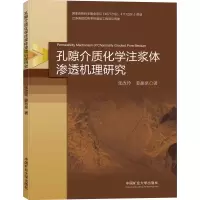 孔隙介质化学注浆体渗透机理研究