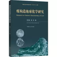 煤构造地球化学研究