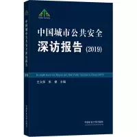 中国城市公共安全深访报告(2019)