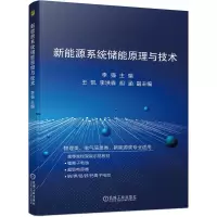 B新能源系统储能原理与技术 李强 双碳 高等学校教材储能系统研究 锂离子电池 超级电容器新能源 电化学二次电池电池组装