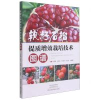 [N]软籽石榴提质增效栽培技术图谱-9787572504969