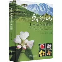 武功山木本及草甸植物(精)