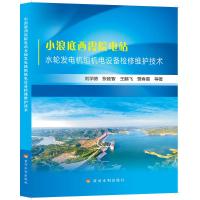 小浪底西霞院电站水轮发电机组机电设备检修维护技术