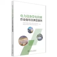 [N]电力设备带电检测作业指导及典型案例-9787519863470