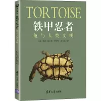 铁甲忍者 龟与人类文明