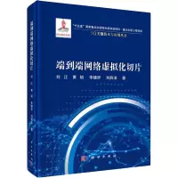 端到端网络虚拟化切片