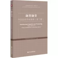 融智融资 中国投资咨询案例(第3辑)