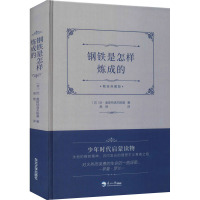 钢铁是怎样炼成的