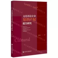 [N]文化创意企业知识产权能力研究-9787520199049