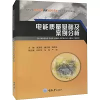 电能质量基础及案例分析