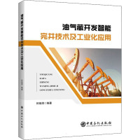 油气藏开发智能完井技术及工业化应用