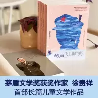 琴声飞过旷野