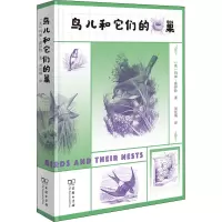 鸟儿和它们的巢