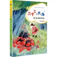 三十三个大海:会唱歌的石头
