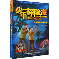 少年探险家-密洞里的男孩儿