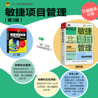 敏捷项目管理(第3版)