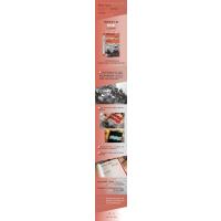 樱桃的滋味 阿巴斯谈电影