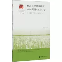精准扶贫精准脱贫百村调研(王井村卷多方协同下的多元路径脱贫)/精准扶贫精准脱贫百村调研丛书