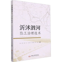 沂沭泗河险工治理技术