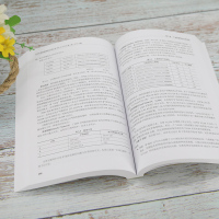 CISA信息系统审计师认证All-in-One(第4版·2019大纲)