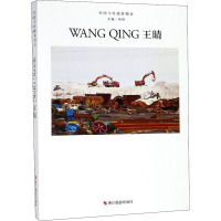 中国当代摄影图录 王晴