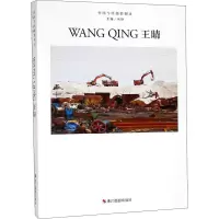 中国当代摄影图录 王晴