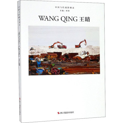 中国当代摄影图录 王晴