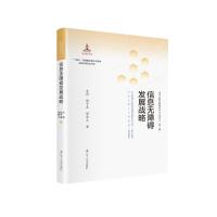 信息无障碍发展战略