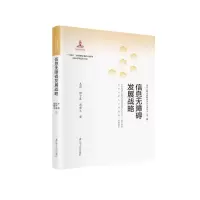 信息无障碍发展战略