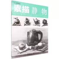 [N]素描(静物)-9787121425813
