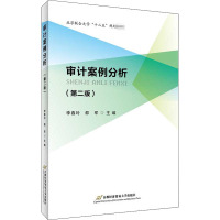 审计案例分析(第2版)