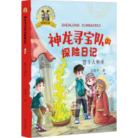 智斗大神巫/神龙寻宝队的探险日记(彩图注音)