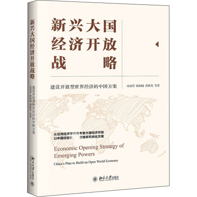 新兴大国经济开放战略(建设开放型世界经济的中国方案)
