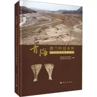 青海都兰哇沿水库2014年考古发掘报告(精)