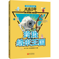 玲珑纳米王国/未来少年/新世界少年文库